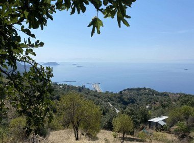 2 Grundstück Glossa, Glossa Grundstück, Glossa Immobilien, Immobilien Glossa, Skopelos Immobilien, Immobilien Skopelos, Skopelos Griechenland Immobilien, Skopelos Haus kaufen, Haus kaufen skopelos, 1
