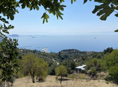 5 Grundstück Glossa, Glossa Grundstück, Glossa Immobilien, Immobilien Glossa, Skopelos Immobilien, Immobilien Skopelos, Skopelos Griechenland Immobilien, Skopelos Haus kaufen, Haus kaufen skopelos, 1