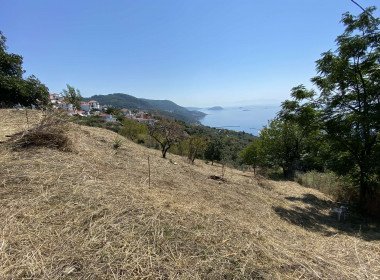 6 Grundstück Glossa, Glossa Grundstück, Glossa Immobilien, Immobilien Glossa, Skopelos Immobilien, Immobilien Skopelos, Skopelos Griechenland Immobilien, Skopelos Haus kaufen, Haus kaufen skopelos, 1