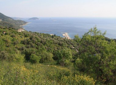 IMG_8955