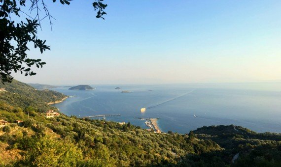 Skopelos Glossa Land for sale price house villa haus kaufen grundstück zu verkaufen preis